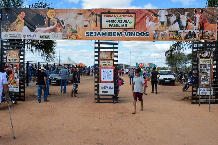 Feira De Animais Agricultura Familiar E Copa De Marcha No Anivers Rio