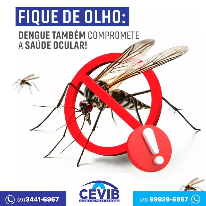 Cevib informa que a dengue também pode afetar a saúde ocular dos