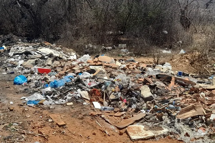 Lixo despejado de forma irregular e queimadas à margem da BR-030 em Brumado