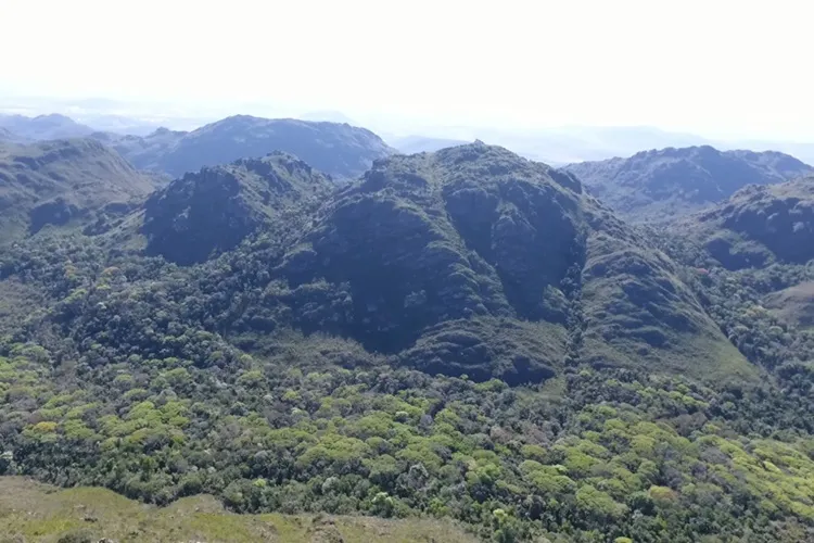 Reservas ambientais protegem mais de mil hectares de patrimônio natural na Bahia