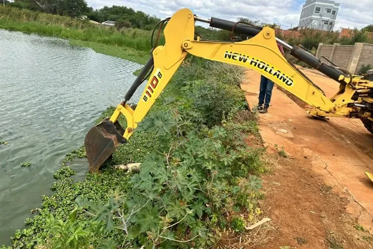 Dois jacarés são encontrados mortos com ferimentos de arma de fogo em Caculé