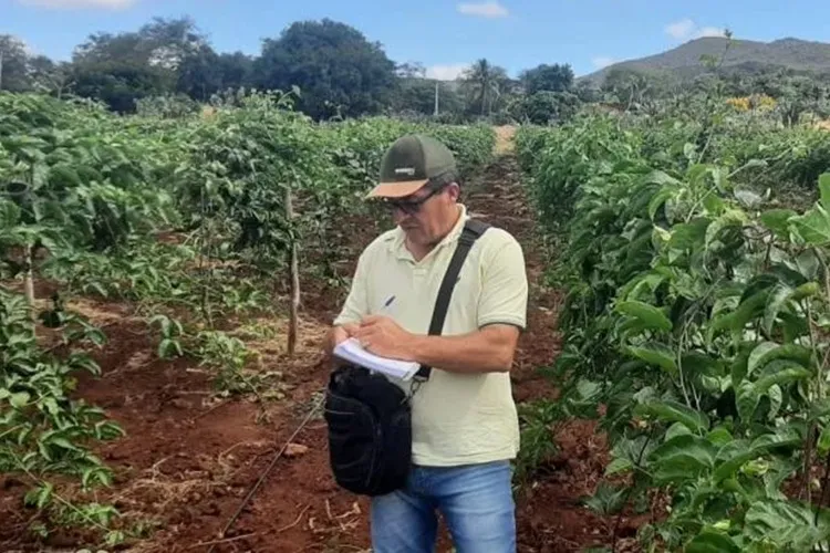 Brumado: Secretaria de Agricultura leva assistência técnica para produtores rurais