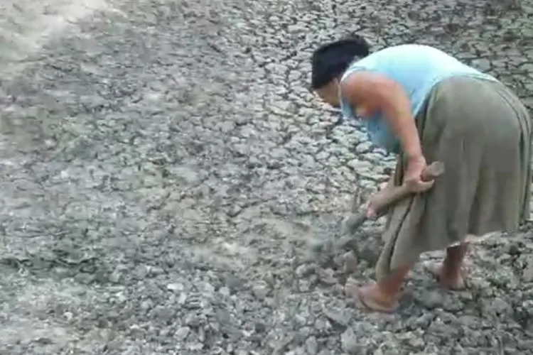 Vídeo: Idosa cega de um olho escava o solo em busca de água em Tanhaçu