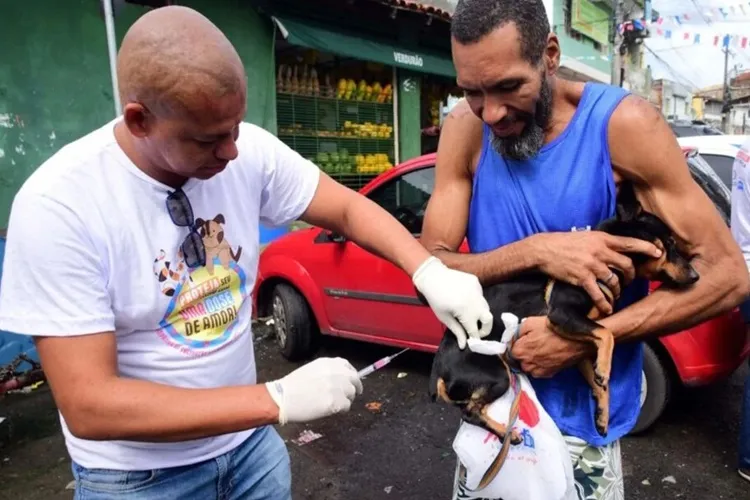 Ministério da Saúde emite alerta nacional após caso de raiva humana