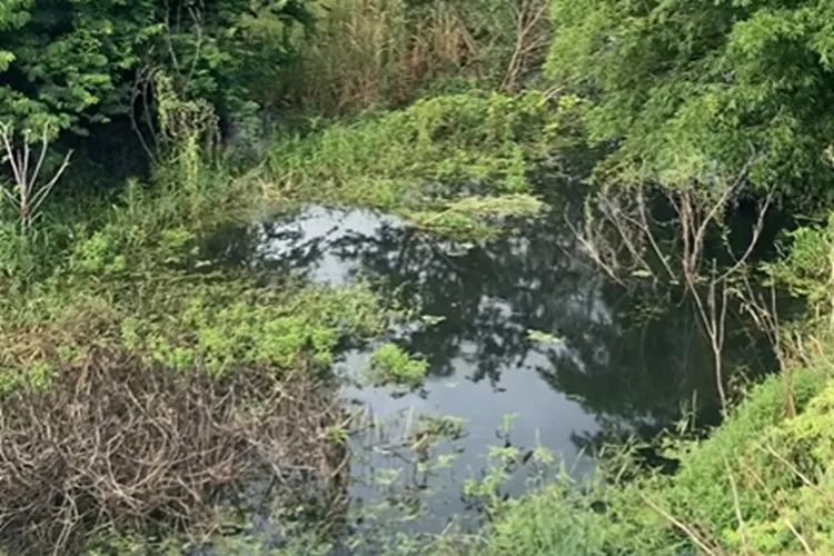 Embasa é acusada de despejar esgoto sem tratamento no leito do Rio do Antônio