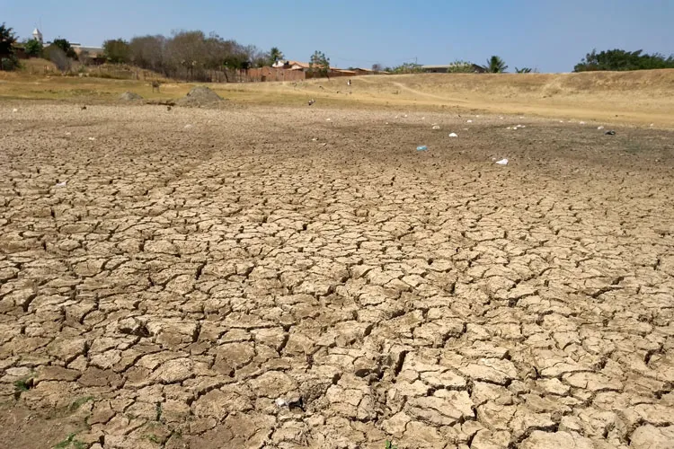 Prefeitura de Brumado declara situação de emergência devido à estiagem prolongada