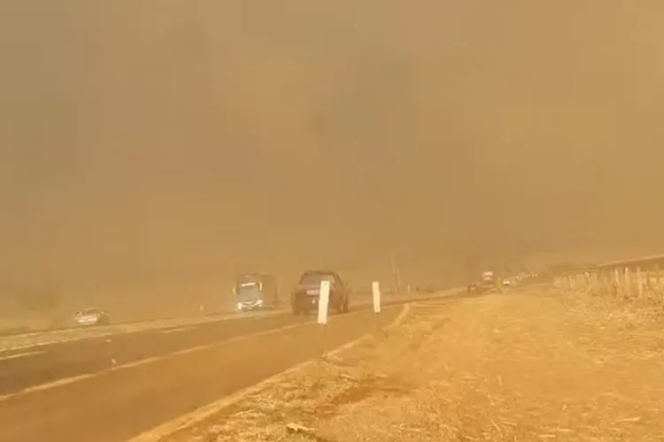 Governo de São Paulo estima prejuízos de R$ 1 bilhão na agropecuária com incêndios