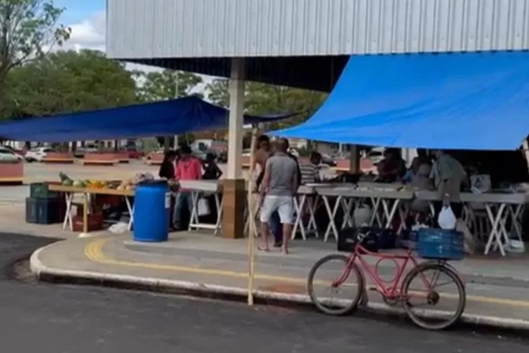 Feira Livre de Dom Basílio registra baixo movimento e crise preocupa comunidade agrícola