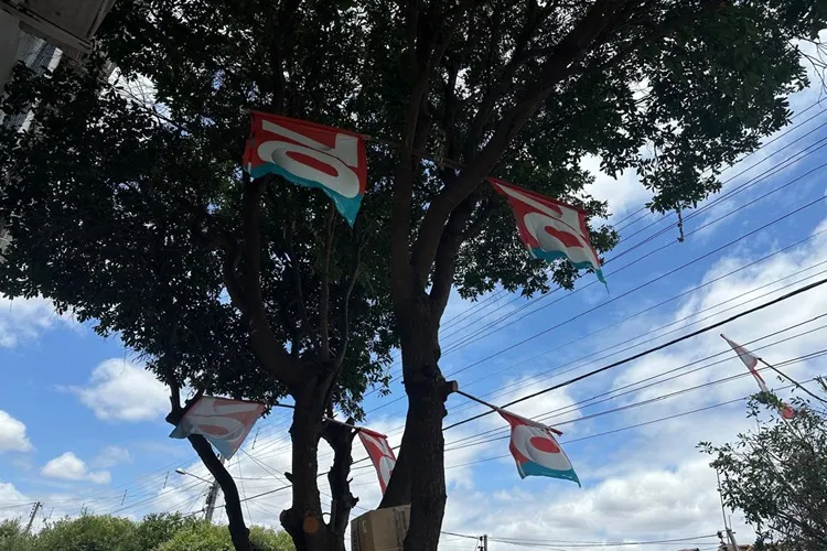 Brumado: Justiça manda retirar bandeiras de candidato fixadas em árvore