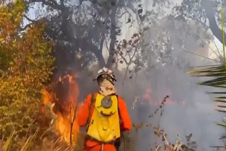 Mais de 20 mil hectares já foram atingidos por incêndios no oeste baiano