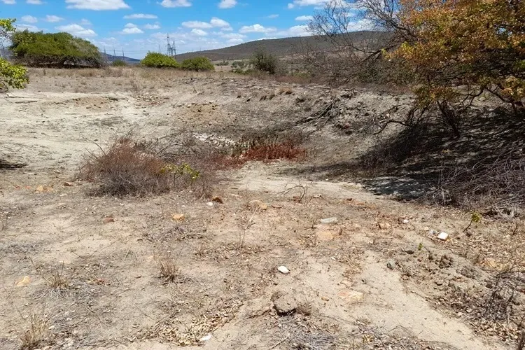 Seca castiga comunidades rurais na região de Caraíbas