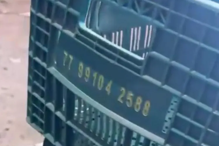 Mais de 100 caixas de maracujá são furtadas de propriedade rural em Dom Basílio