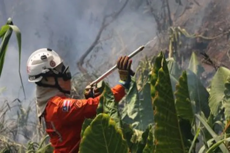 Bombeiros reforçam combate e debelam 422 incêndios florestais na Bahia