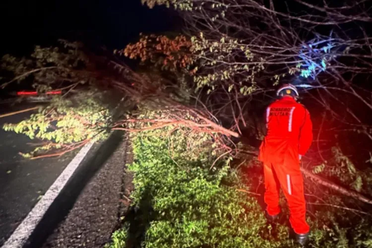 20º BBM atende ocorrência de árvore caída na BR-430 em Bom Jesus da Lapa