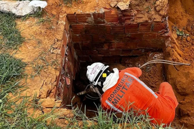 Bombeiros resgatam bois que caíram em cisterna aberta em Bom Jesus da Lapa