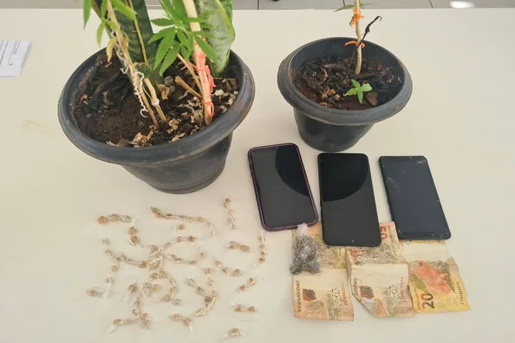 Caetité: PM apreende pés de maconha e pedras de crack com acusados de tráfico