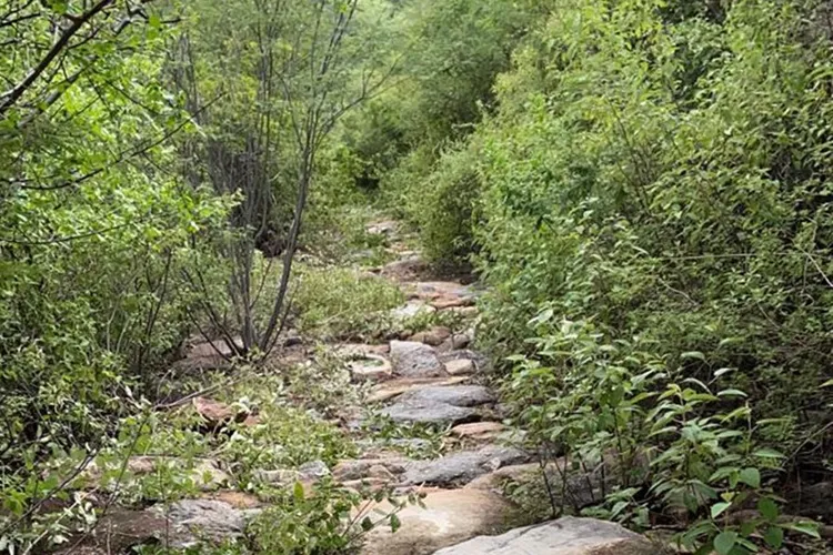 Gasa realiza limpeza na Estrada Real entre Livramento de Nossa Senhora e Rio de Contas