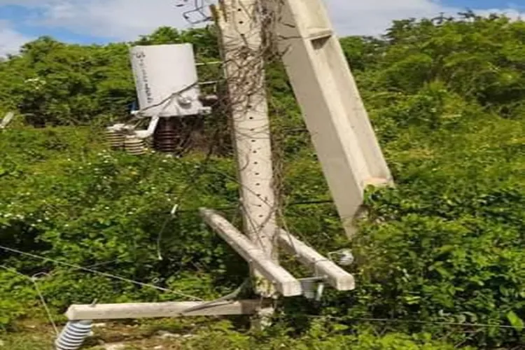 Comunidade rural de Guanambi está há três dias sem energia após queda de árvore