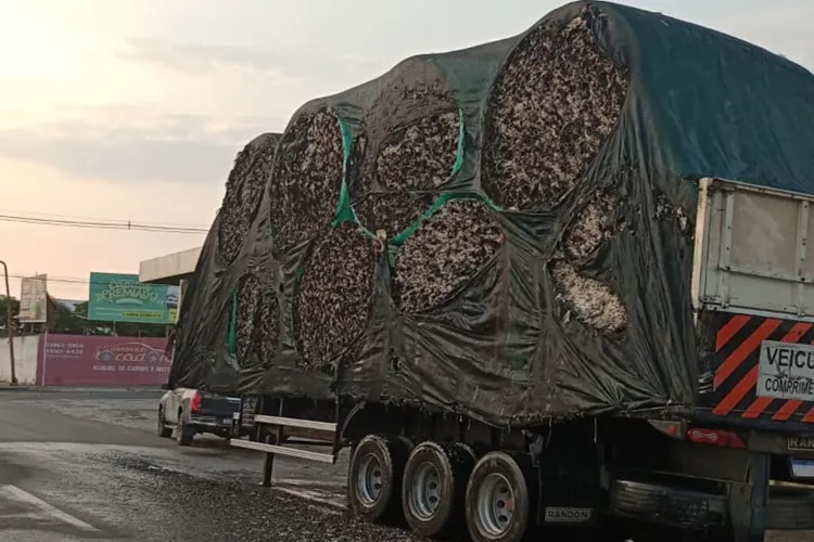 Nova carga de algodão pega fogo em Guanambi