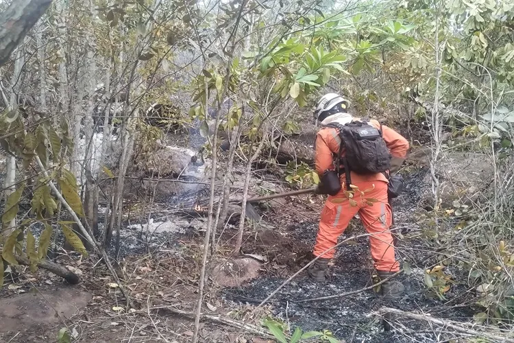 Bombeiros combatem incêndios florestais em Lençóis com uso de aeronave