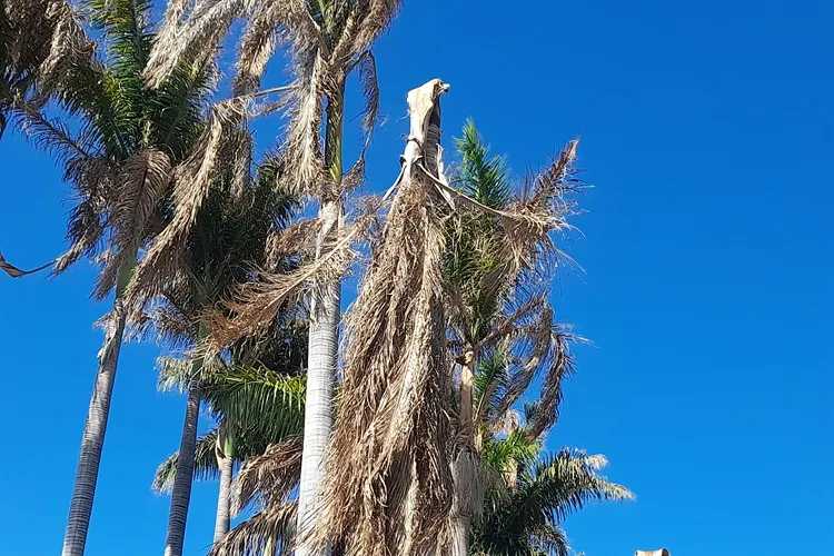 População denuncia abandono da Praça Coronel Zeca Leite em Brumado