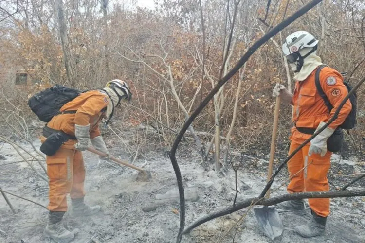 Após 8 dias de uma força tarefa, incêndio é debelado em área de mata em Rio de Contas