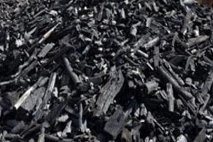 Cândido Sales: Justiça condena homem por recebimento e armazenamento de carvão ilegal