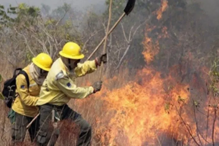 Focos de incêndios no Brasil já são 76% maior que em 2023