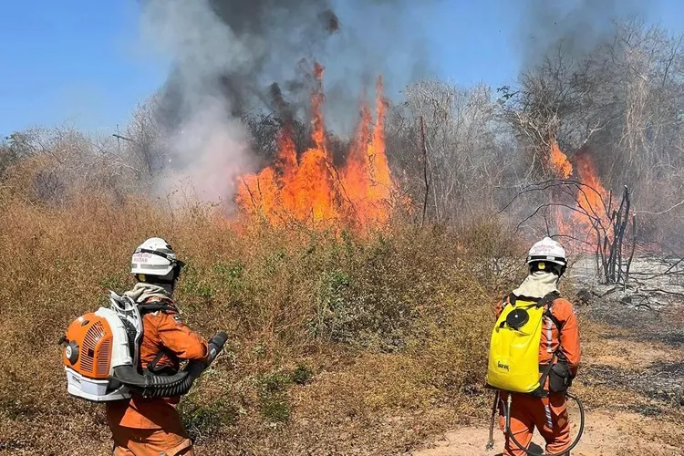 Bombeiros conseguem controlar incêndio florestal em Bom Jesus da Lapa