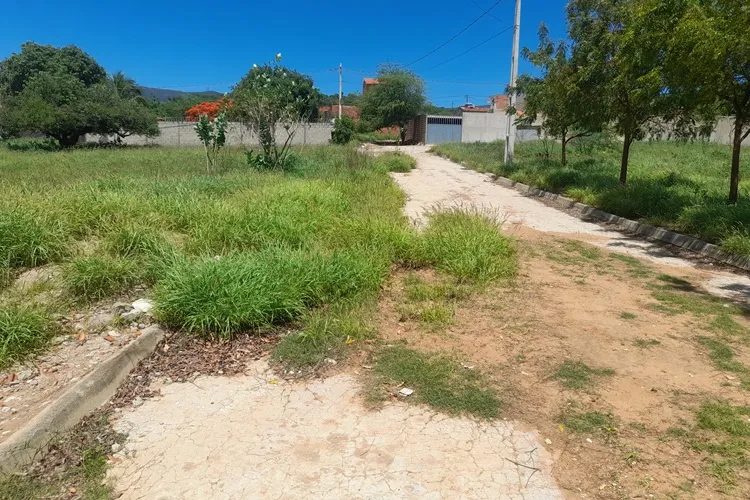 Brumado: Famílias lutam há oito anos por instalação de água em loteamento