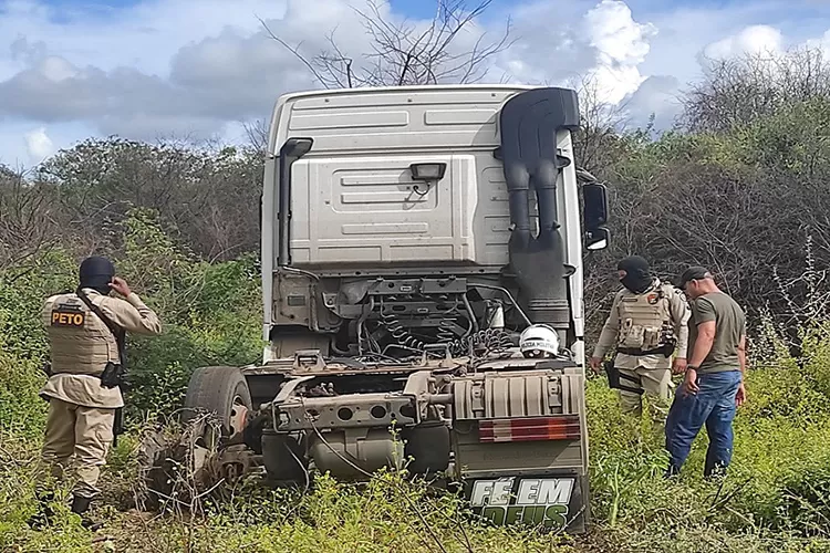 Brumado: PM recupera cavalo mecânico roubado em área de mata na zona rural