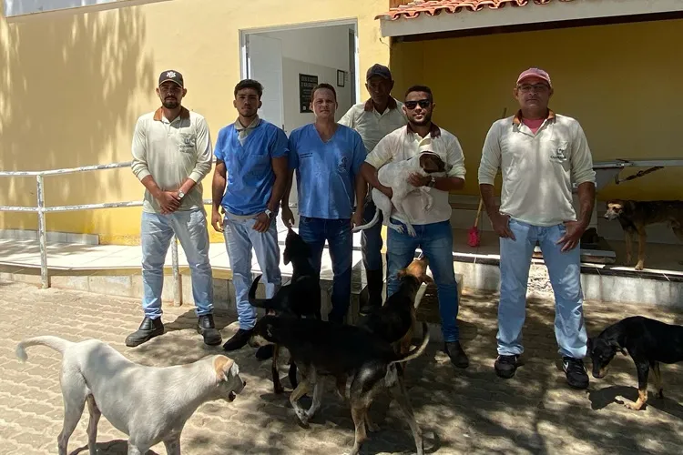 CNC pede apoio da população no controle de animais errantes em Guanambi