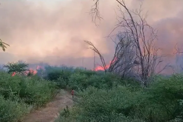 Incêndio é controlado na zona rural de Livramento de Nossa Senhora