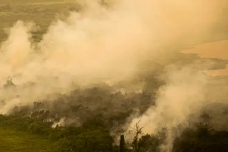 Com incêndios, Mato Grosso do Sul decreta situação de emergência