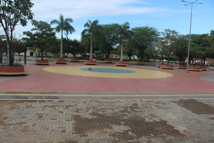 Filhotes de gato são envenenados dentro de quintal de residência em Dom Basílio