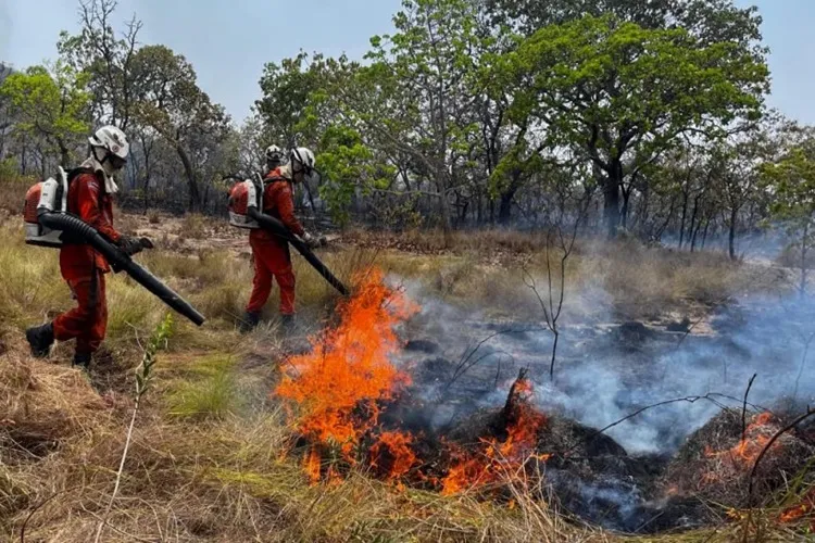 Bombeiros controlam focos de fogo em Bom Jesus da Lapa, Guanambi e Érico Cardoso