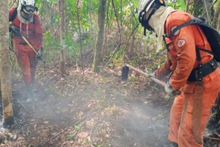 Bombeiros extinguiram incêndios florestais na Chapada Diamantina