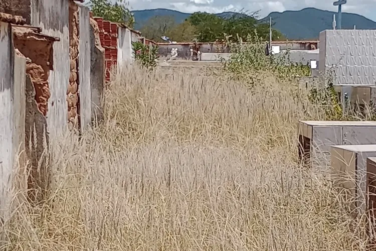 Brumado: Moradores pedem atenção a cemitério, abandonado pelo antigo gestor